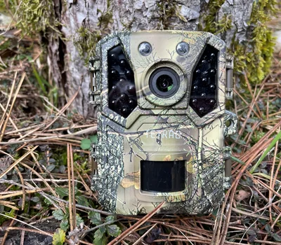 Vadkamera recenzió TETRAO Ninox 32 Mpx 940 nm