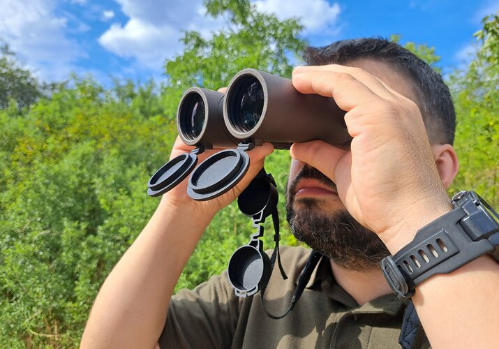 TETRAO ELANUS - Și nu vei rata nici un șoarece!