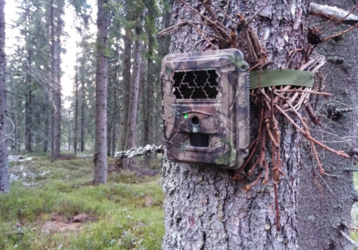Spolupráca NLC a ODIMON s.r.o. v rámci projektu TETRAO – zimný monitoring biotopov hlucháňa