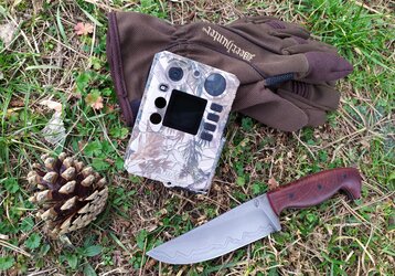 Ostražitý strážce revíru 