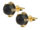 Kolczyki drewniane TETRAO Quercus