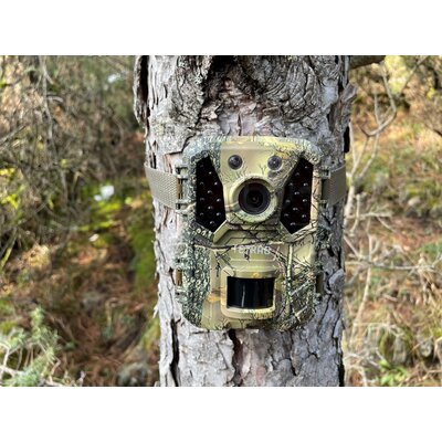 Fotopasca tetrao ninox 32 mpx 940 nm - fotopasca_tetrao_ninox_32mpx_940nm_ (43)