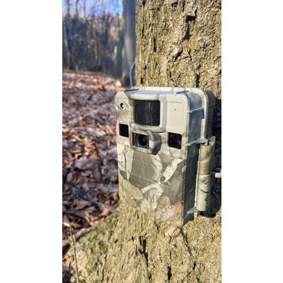 Fotopasca tetrao s68 36 mpx 940 nm - 2k video - 2022_01_07_12_16_IMG_4405