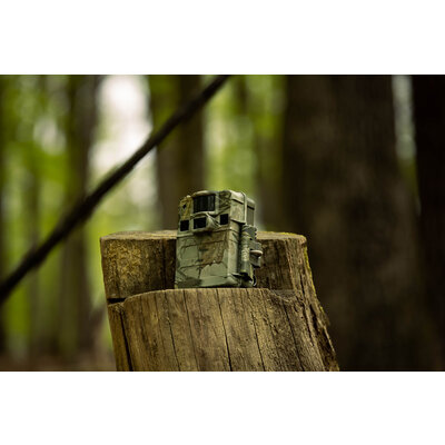 Fotopasca tetrao s68 36 mpx 940 nm - 2k video - fotopasca_tetrao_s68_4