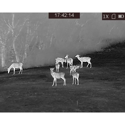 Termovízne zariadenie tetrao pandion h-35 lr - detekcia na 1800 m - 20220115174214