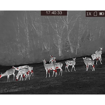 Termovízne zariadenie tetrao pandion h-35 pro lr - detekcia na 1800 m - 20220115174033
