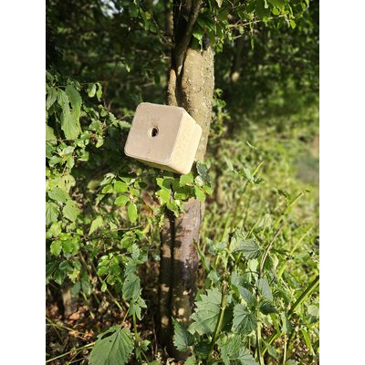 Minerálna soľná kocka tetrao 10 kg forest - 20250706_185621