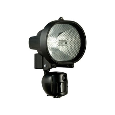 20110809110950-halogen_s_kamerou