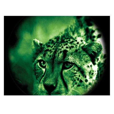 20113008140850-atn_night_spirit-_2i_01