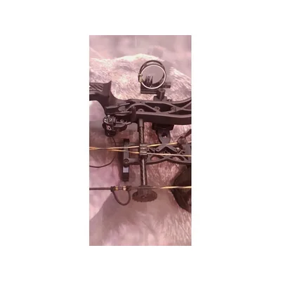 20191302150225-20190211_163854