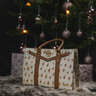 Dámska kožená crossbody kabelka tetrao daphne - stylova_fotka_ku_kabelkam_tetrao (7.1)