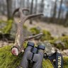 Ďalekohľad tetrao elanus 10x42 hd - dalekohlad_tetrao_elanus_10x42_