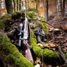 Puškohľad tetrao elanus 3-18x56 g4i - puskohlad_tetrao_elanus_2,5-15x50i_ (5)