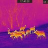 Termovízne zariadenie tetrao pandion h-25 lr - detekcia na 1200 m - 20220115174026