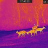 Termovízne zariadenie tetrao pandion h-35 lr - detekcia na 1800 m - 20220115174022