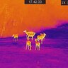 Termovízne zariadenie tetrao pandion h-35 lr - detekcia na 1800 m - 20220115174233