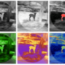 Termovízny zameriavač tetrao otus 650x 50 hz - detekcia 3300 m - termovizny_zameriavac_tetrao_otus_2