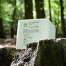 Soľná kocka tetrao pure 10 kg - _solna_kocka_tetrao_pure_10_kg_stylova_fotka (2)