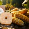 Lesná lízanka tetrao s príchuťou kukurica - 2kg - lesna_lizanka_tetrao_s_prichutou_kukurica_2_kg_ (2)
