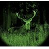 20113008110803-atn_night_raven-_2i_01
