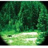 20113008110856-atn_night_shadow_2i_01