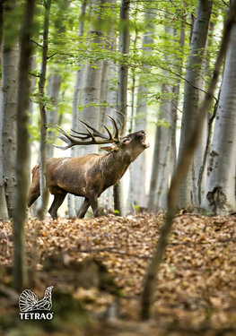 Obojstranné obliečky so zipsom TETRAO - bažant