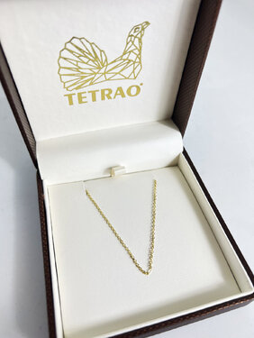 Arany lánc TETRAO 45 cm