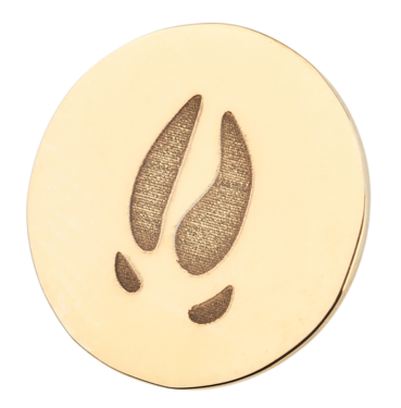 Arany fülbevaló medál TETRAO vaddisznó