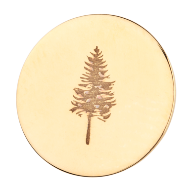 Arany fülbevaló medál TETRAO lucfenyő