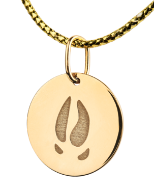 Arany fülbevaló TETRAO vaddisznó