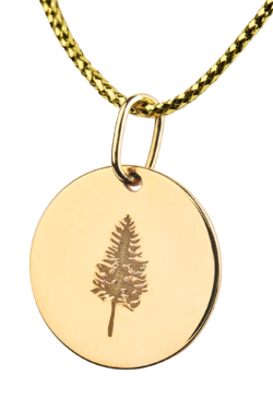 Arany medál TETRAO lucfenyő