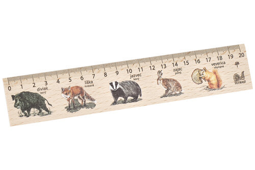 Dřevěné pravítko TETRAO - 20 cm