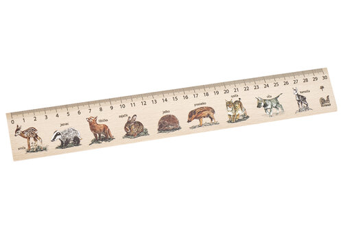 Dřevěné pravítko TETRAO - 30 cm