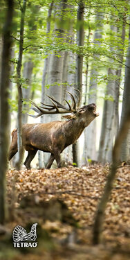 Vadásztörülköző TETRAO 140x70 cm - Szarvas