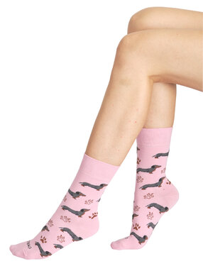 Șosete vesele TETRAO câine Teckel