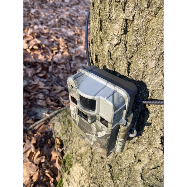 Fotopasca TETRAO S68 36 Mpx 940 nm - 2K video  16