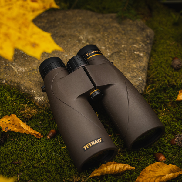 Távcső TETRAO Elanus 8x56 HD 10 Távcső TETRAO Elanus 8x56 HD 10