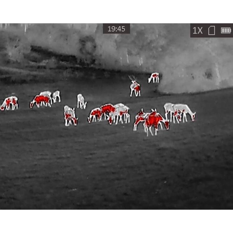 Termovize TETRAO Buteo T-15, detekce na 694 m 6