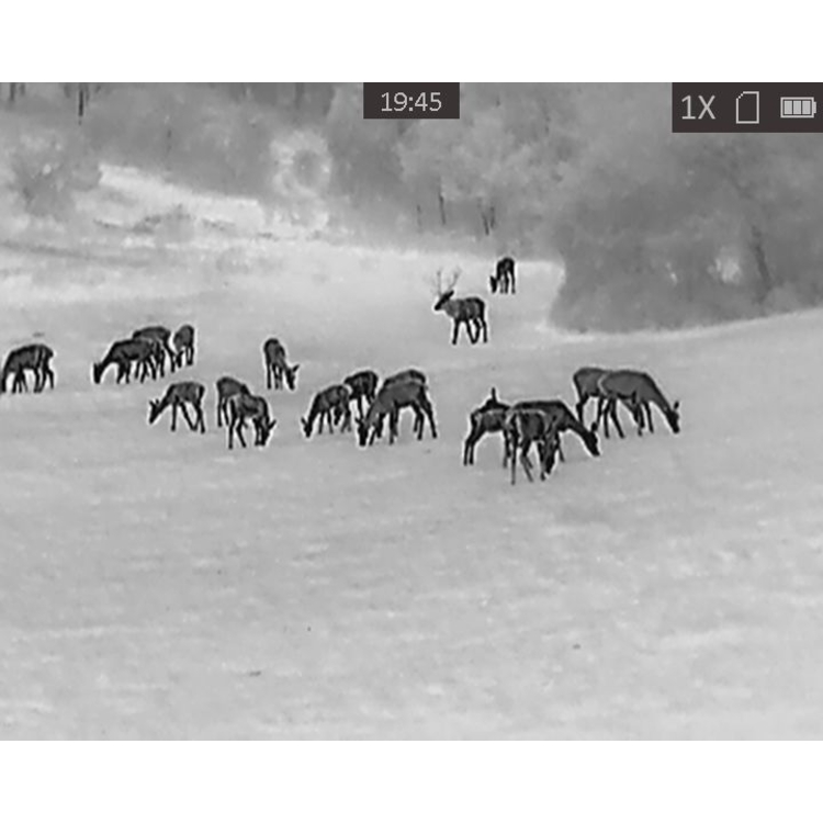 Termovize TETRAO Buteo T-15, detekce na 694 m 8