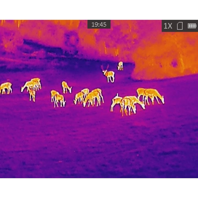Cameră cu termoviziune TETRAO Buteo T-15, detecție la 694 m 9