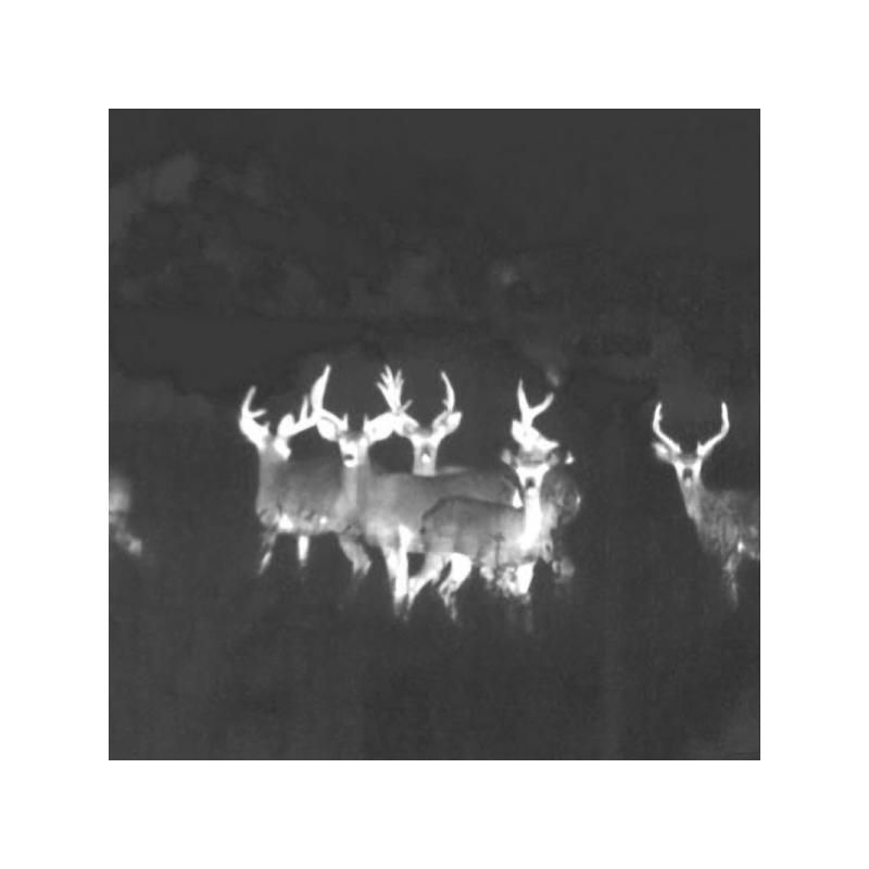 Termovízia FLIR BTS-XR PRO 640 9Hz binokulár 6 Termovízia FLIR BTS-XR PRO 640 9Hz binokulár 6