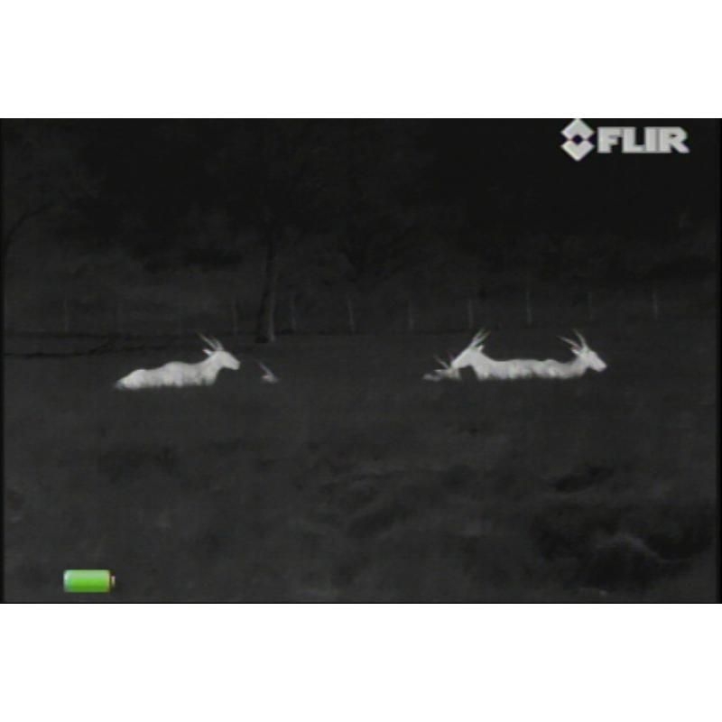 Termovízia FLIR BTS-XR PRO 640 9Hz binokulár 8 Termovízia FLIR BTS-XR PRO 640 9Hz binokulár 8