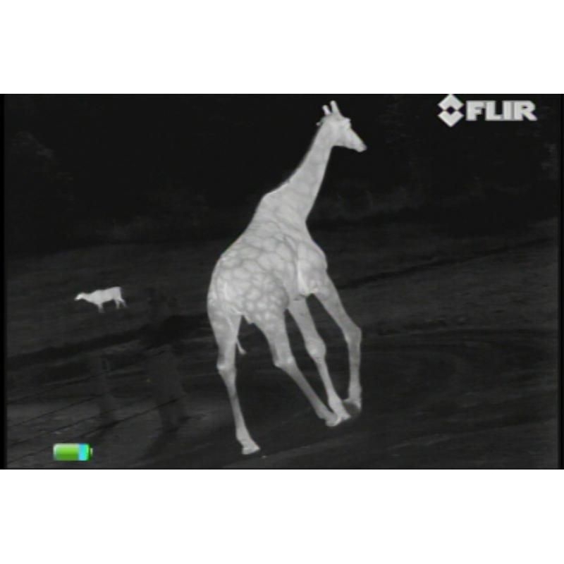 Termovízia FLIR SCOUT TS-X PRO 320 9Hz 4 Termovízia FLIR SCOUT TS-X PRO 320 9Hz 4